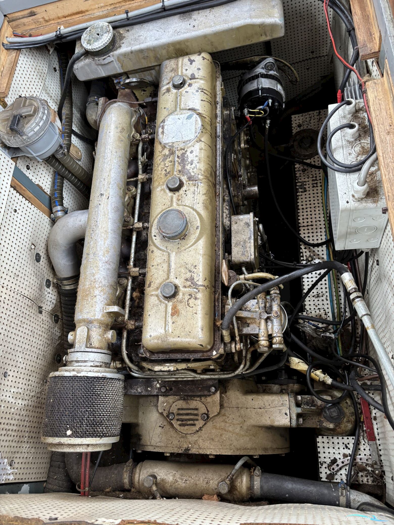 Molenmaker & Mantel Kotter 11.50 OK