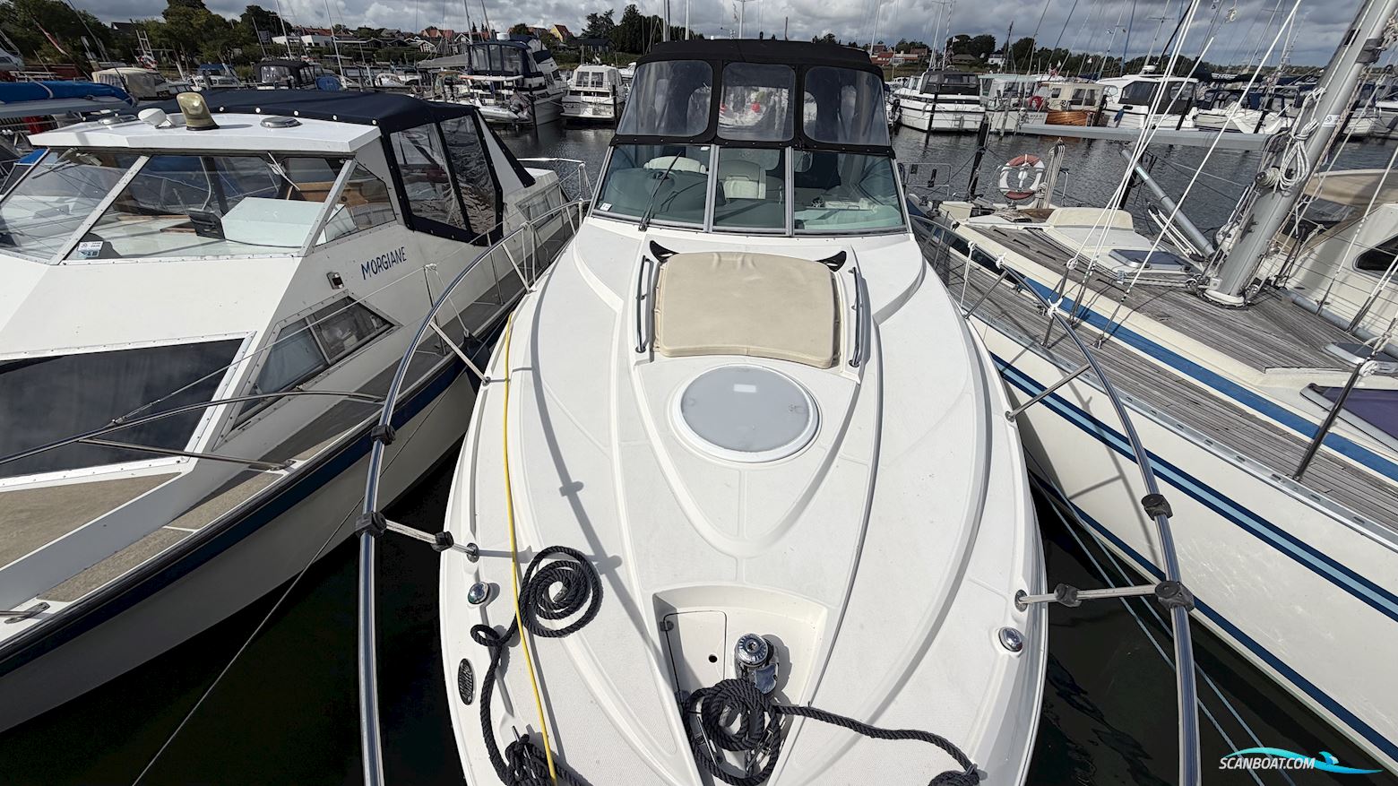 Monterey 290