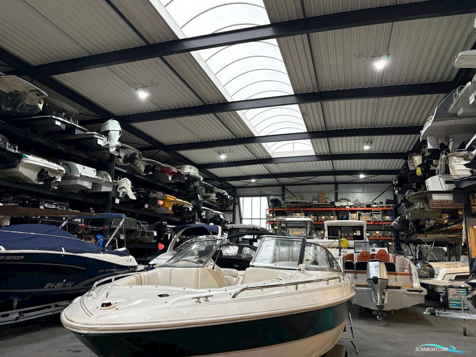 Monterey Montura 196