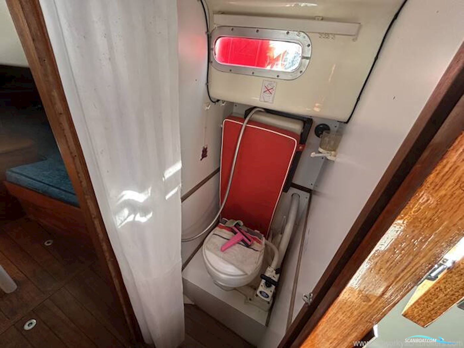 Neptune Neptunian 33