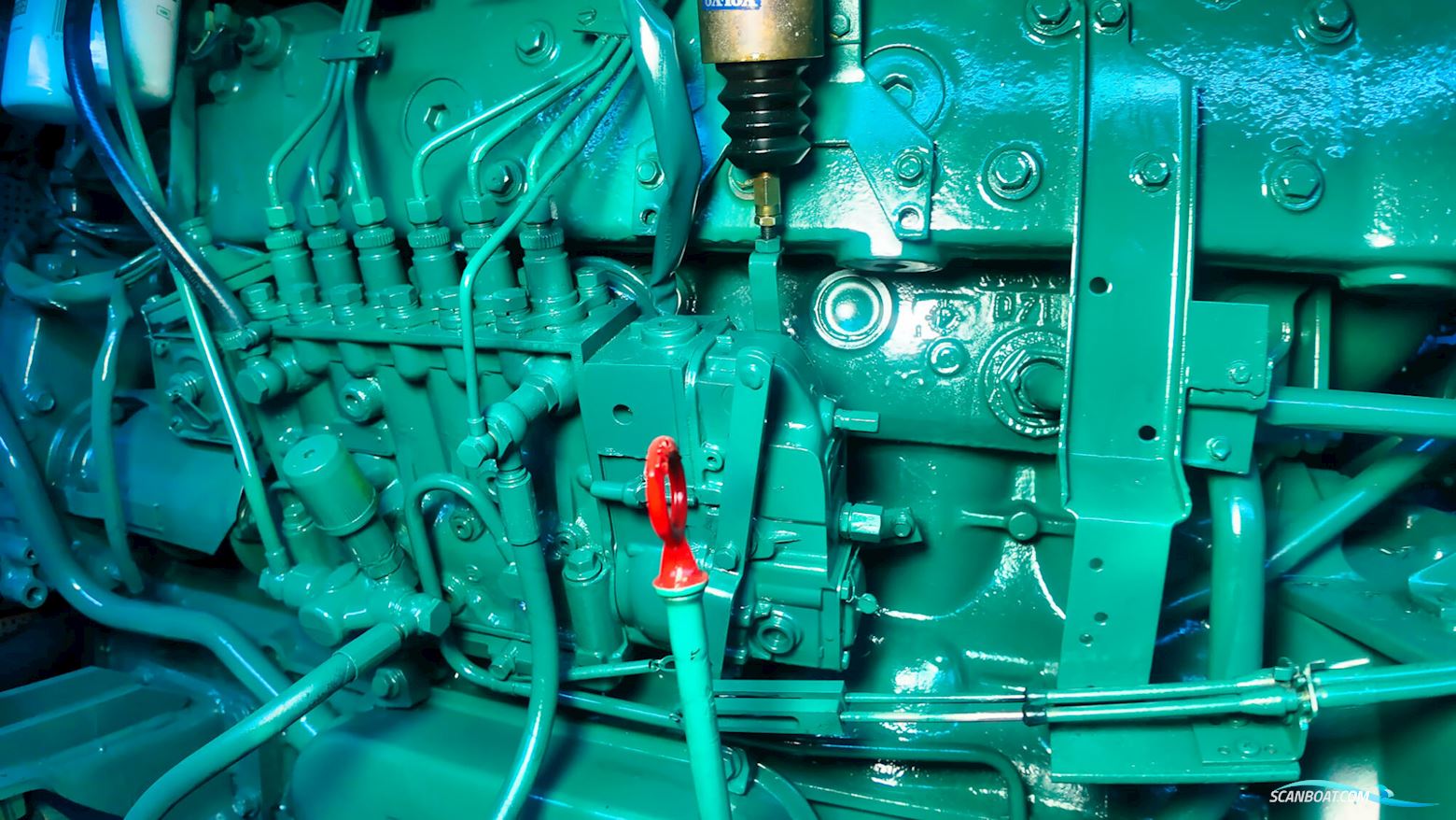 Neptunus 138 / 46 Flybridge Sedan