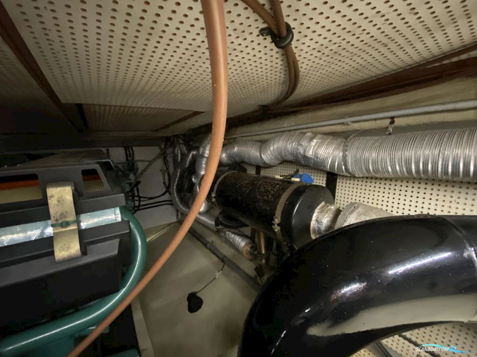 Neptunus 138 Sedan Fly