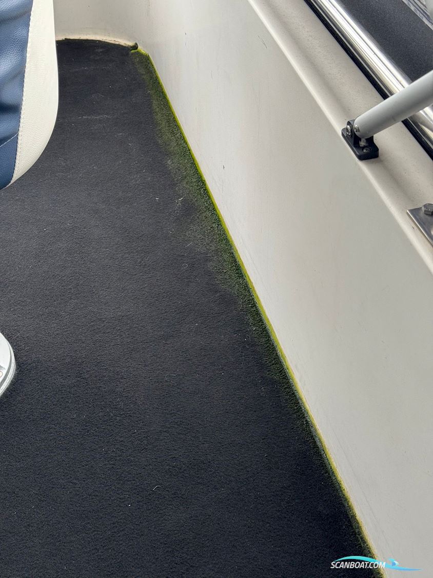 Neptunus 138 Sedan Fly