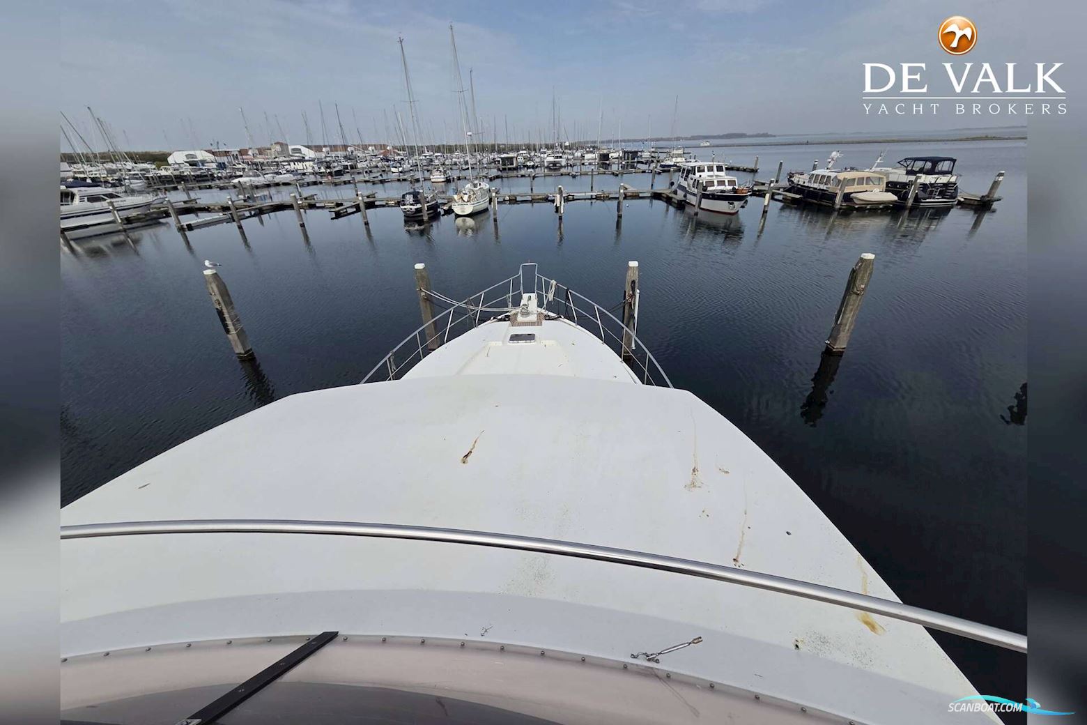 Neptunus 196 Flybridge