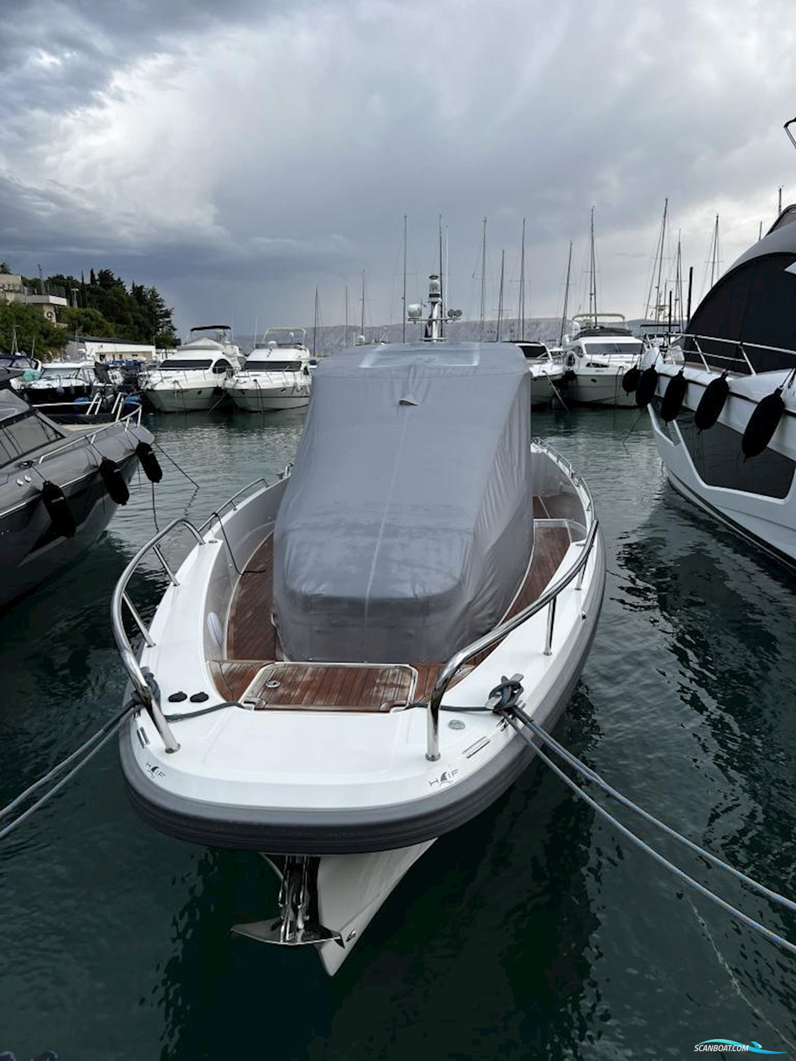 Nimbus T11