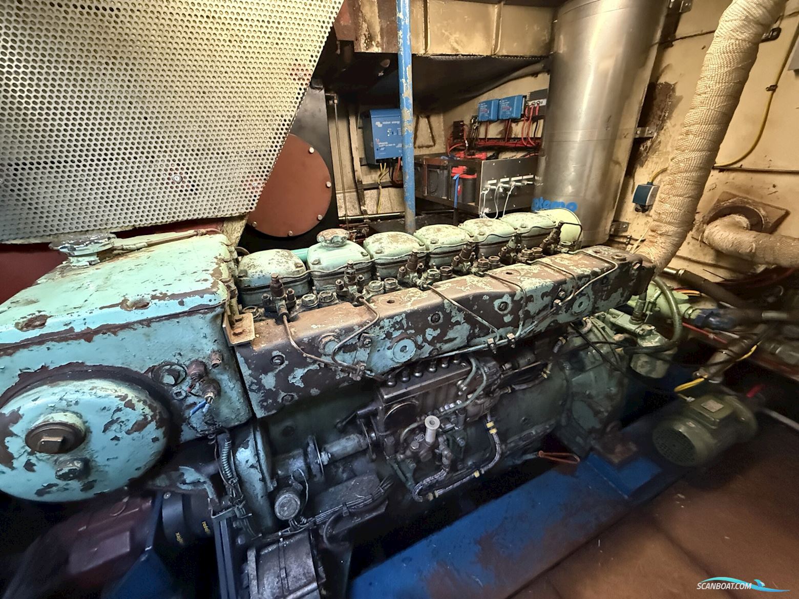 Noordzeekotter ‘WR 134’