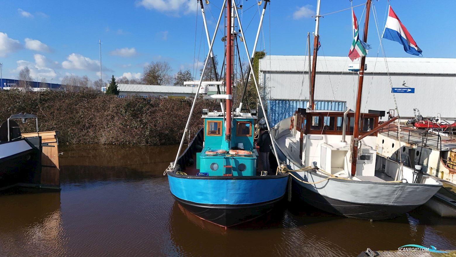 Noordzeekotter  ‘WR 134’