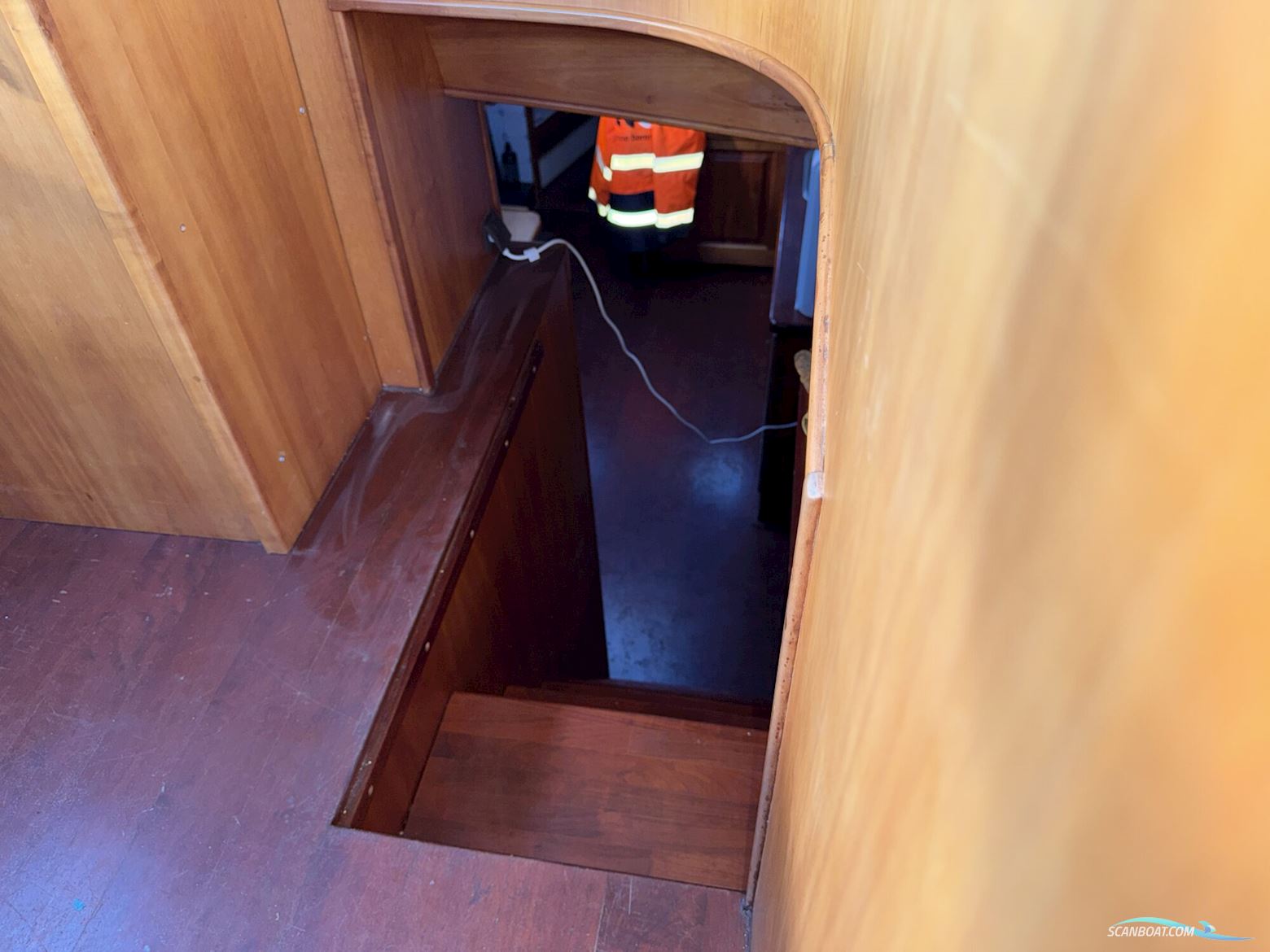 Noordzeekotter  ‘WR 134’