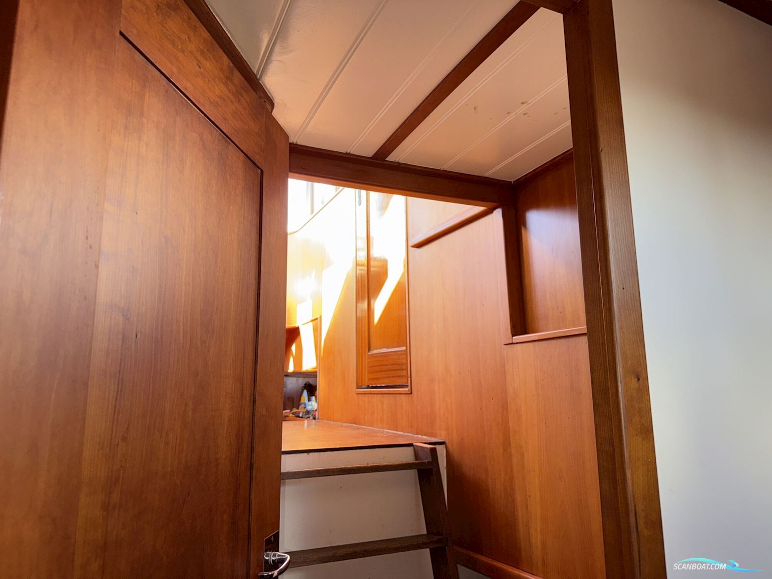 Noordzeekotter  ‘WR 134’