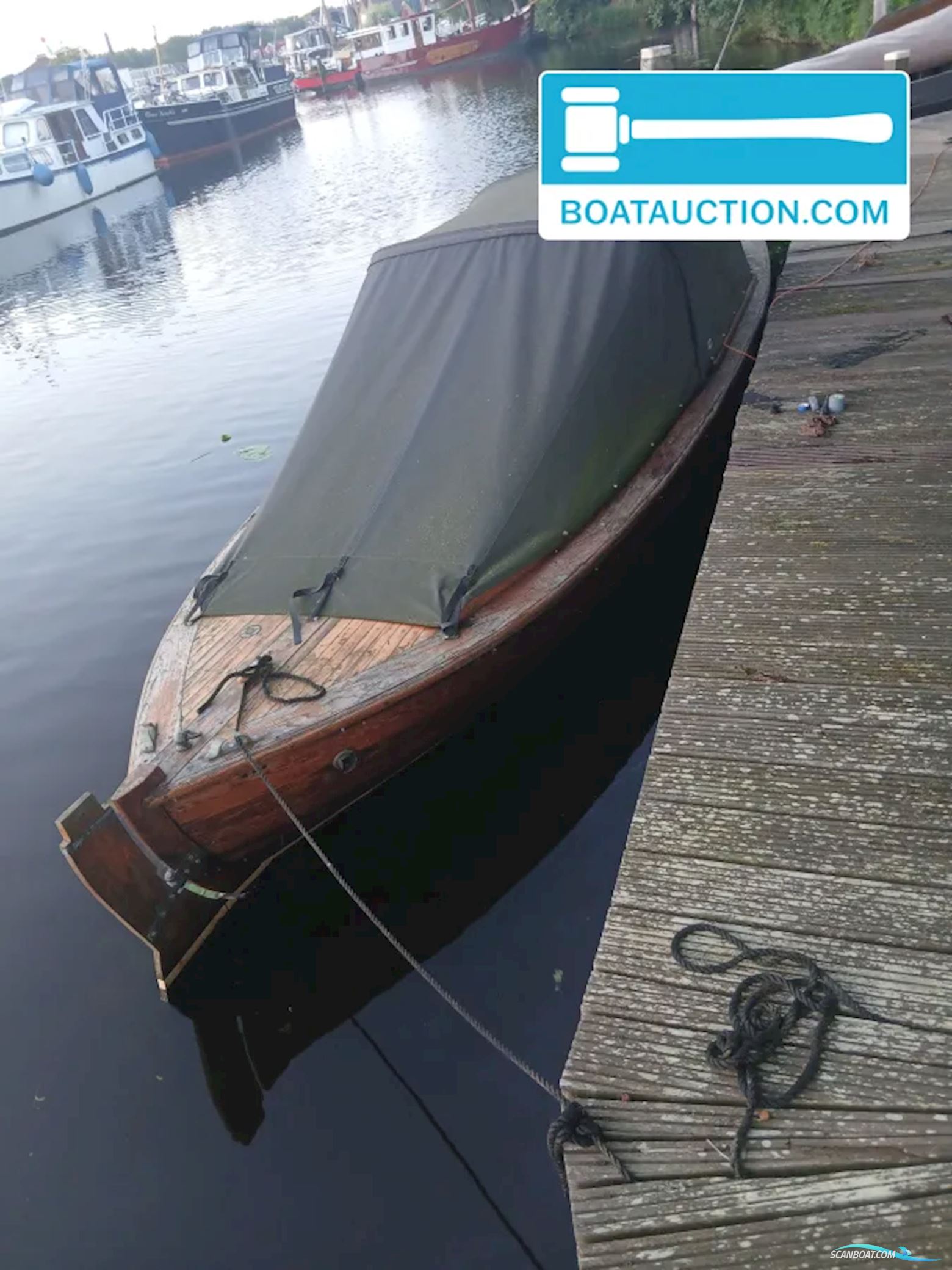 Noorse Spitsgatter 720