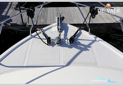 Ocean Alexander 44 Motoryacht Motorbåd 1989, med Volvo Penta motor, Holland