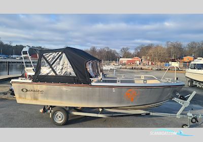 Ockelbo B18DC Motorbåd 2017, med Evinrude motor, Sverige