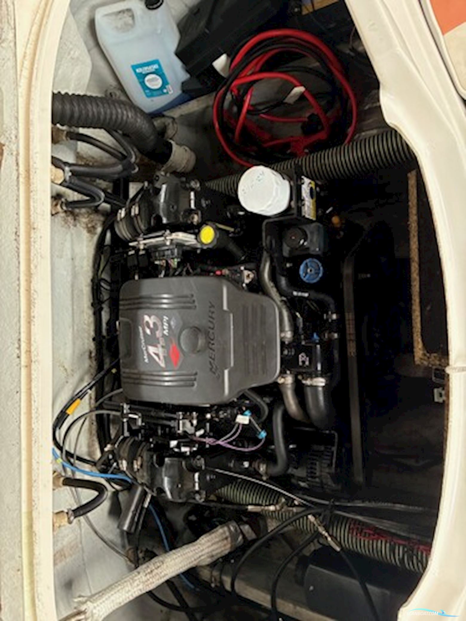 Ørnvik 650 m/Mercruiser 4,3L og Selandia trailer