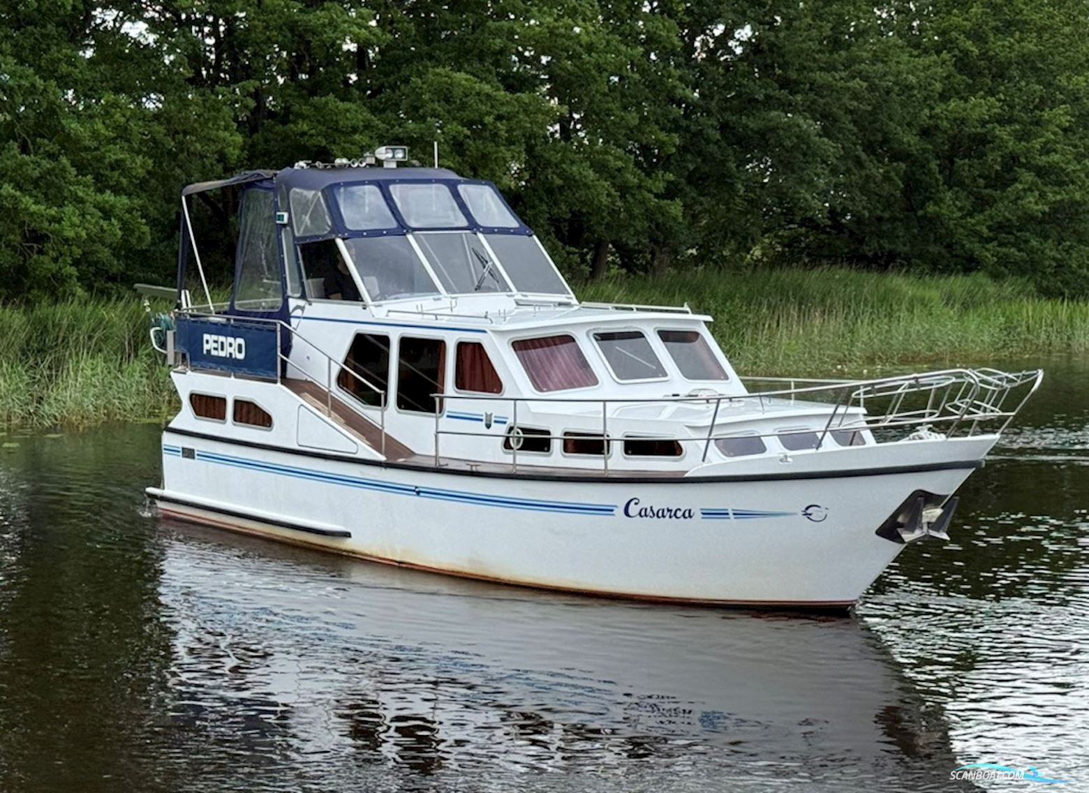Pedro 37