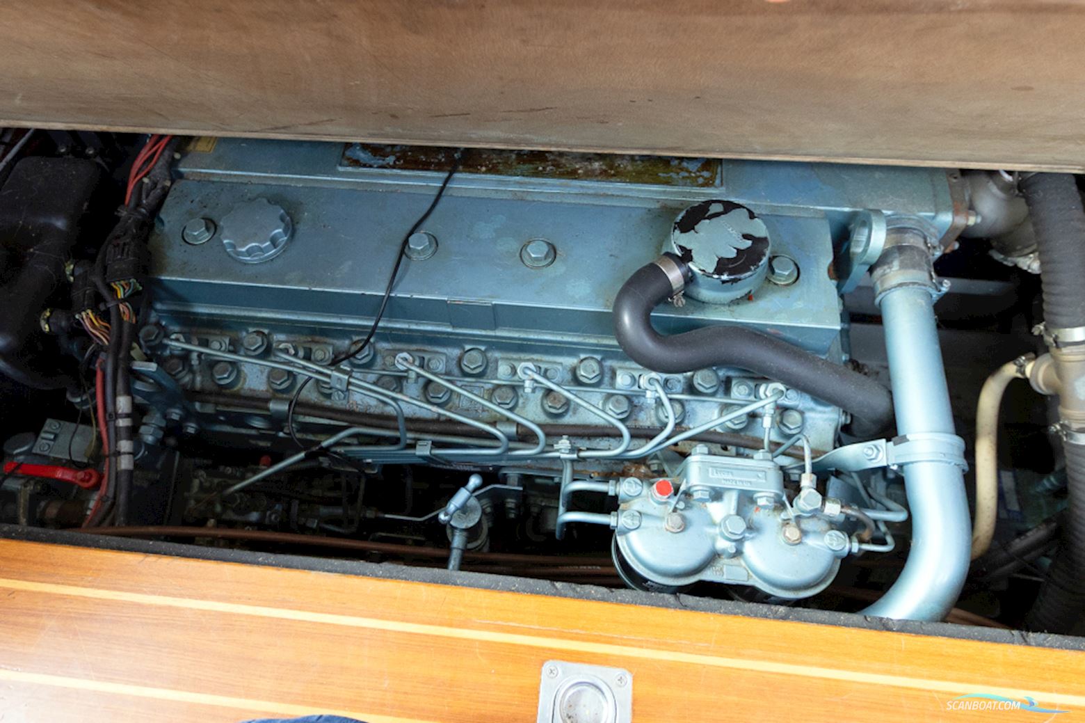 Pedro Skiron 35
