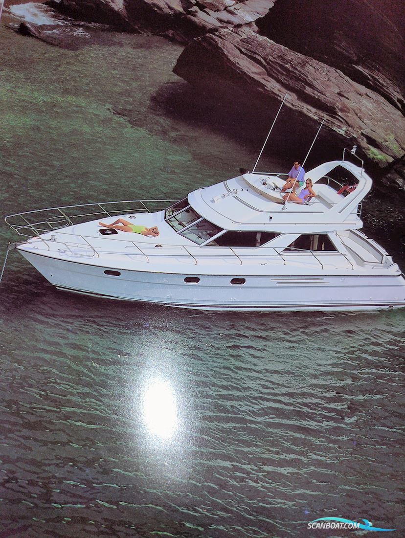 Princess 410
