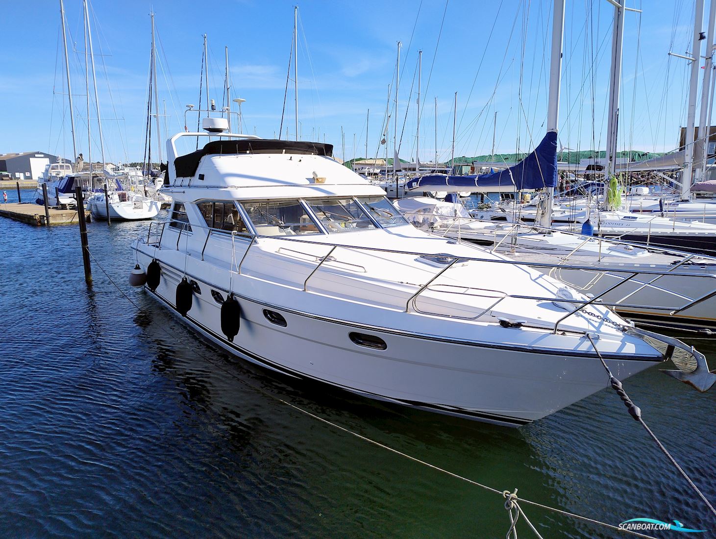 Princess 410