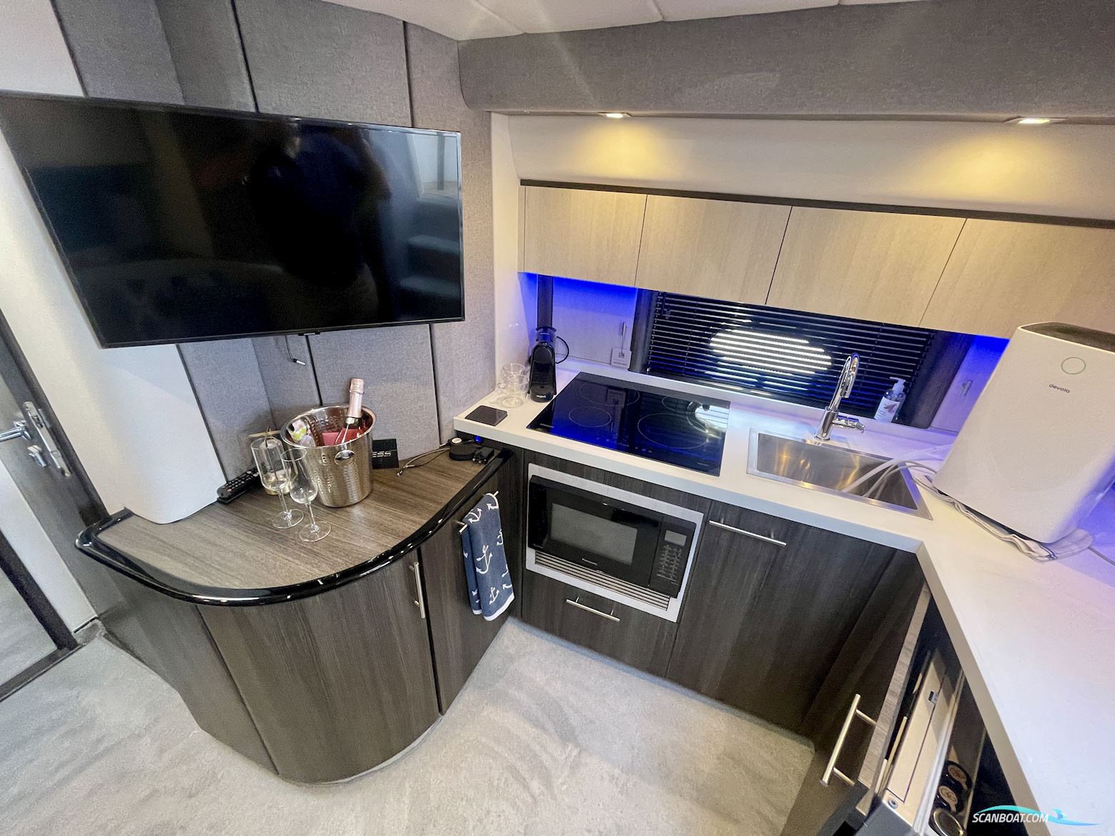 PRINCESS V40
