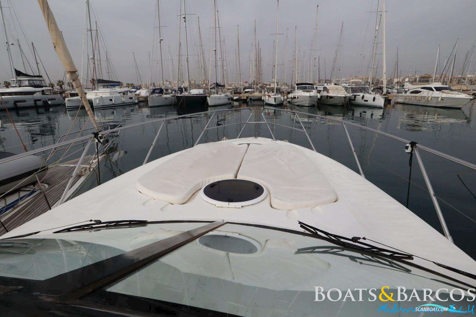 PRINCESS V42
