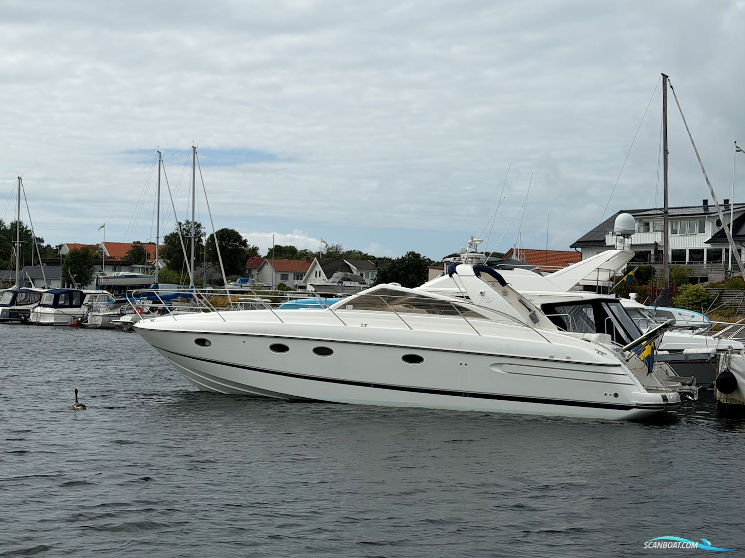 Princess V42