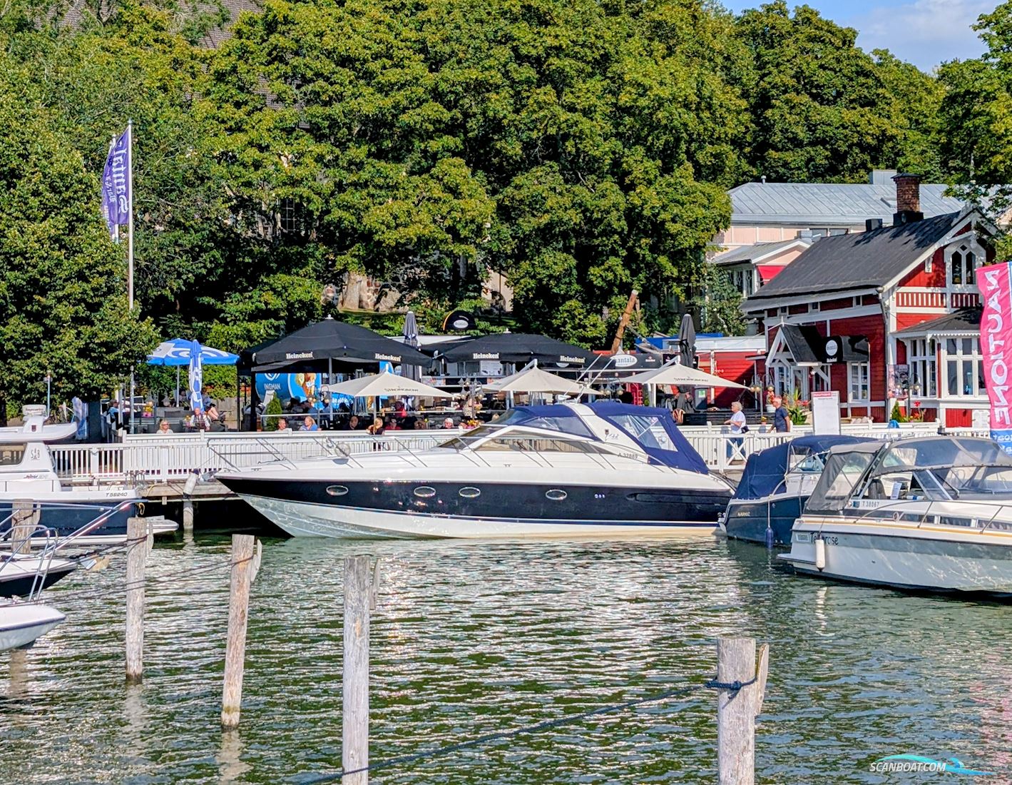 Princess V42