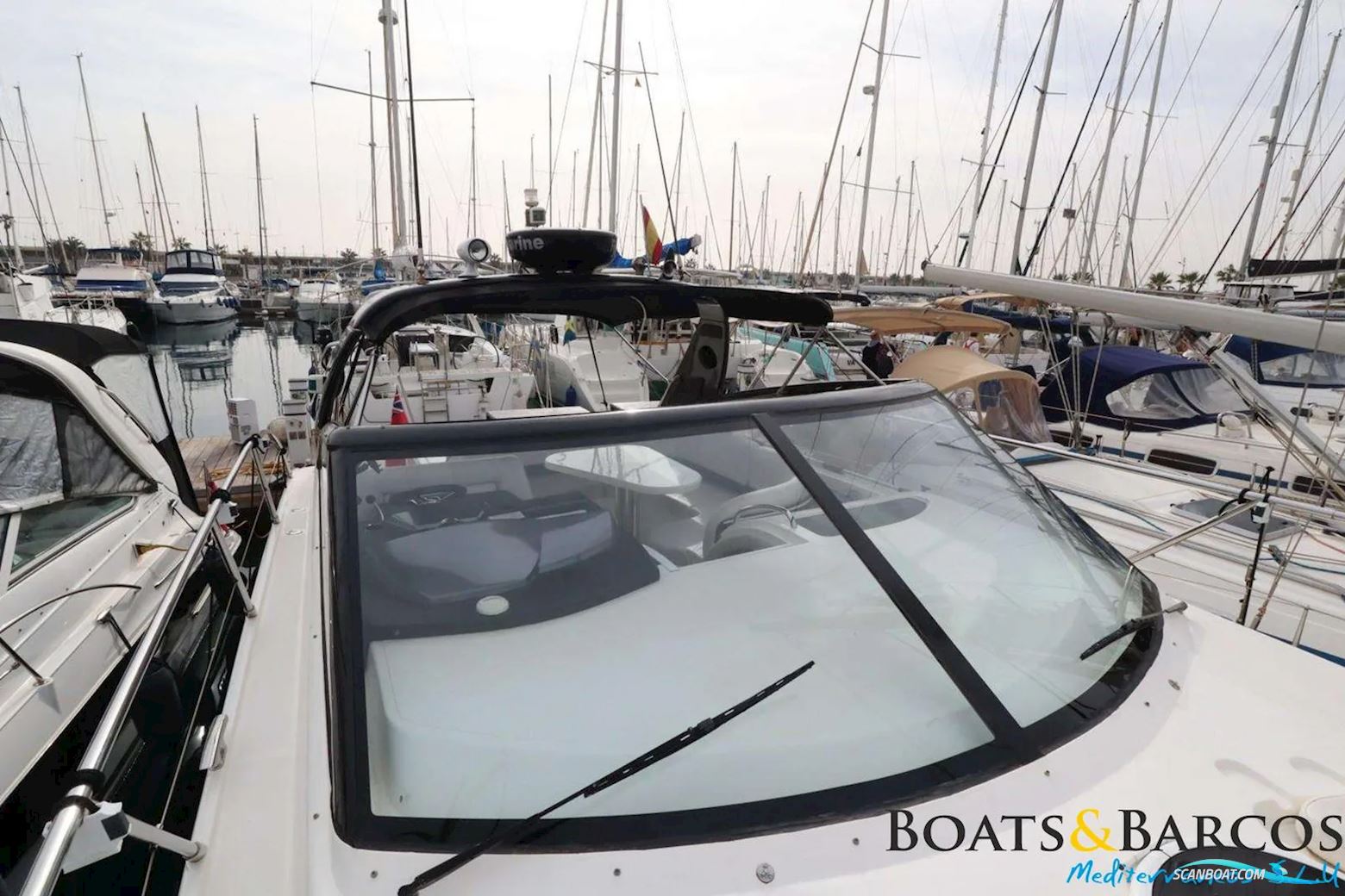 PRINCESS V42