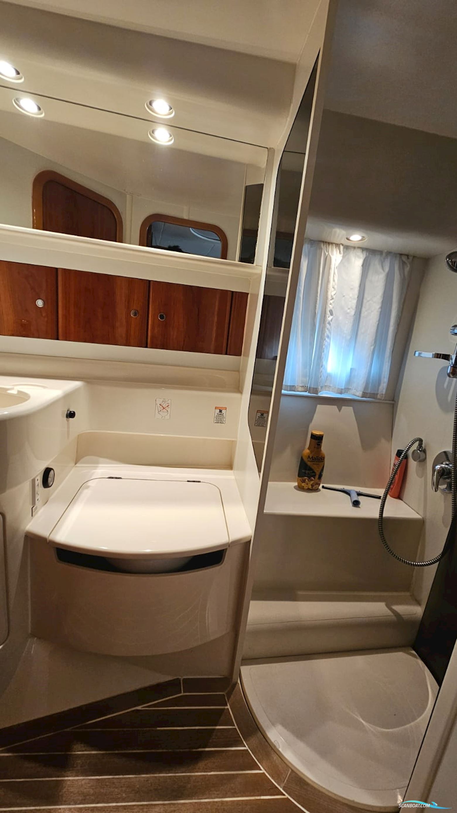PRINCESS V42