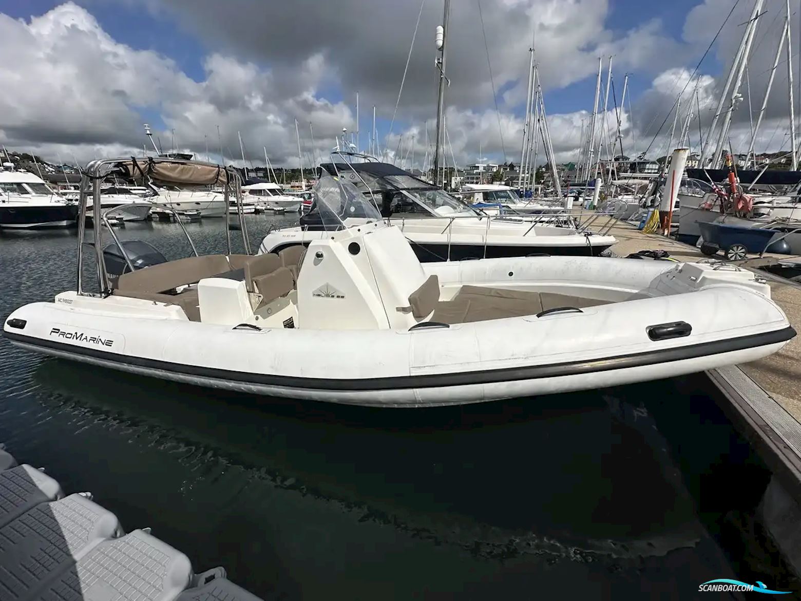 PRO MARINE 25 HELIOS