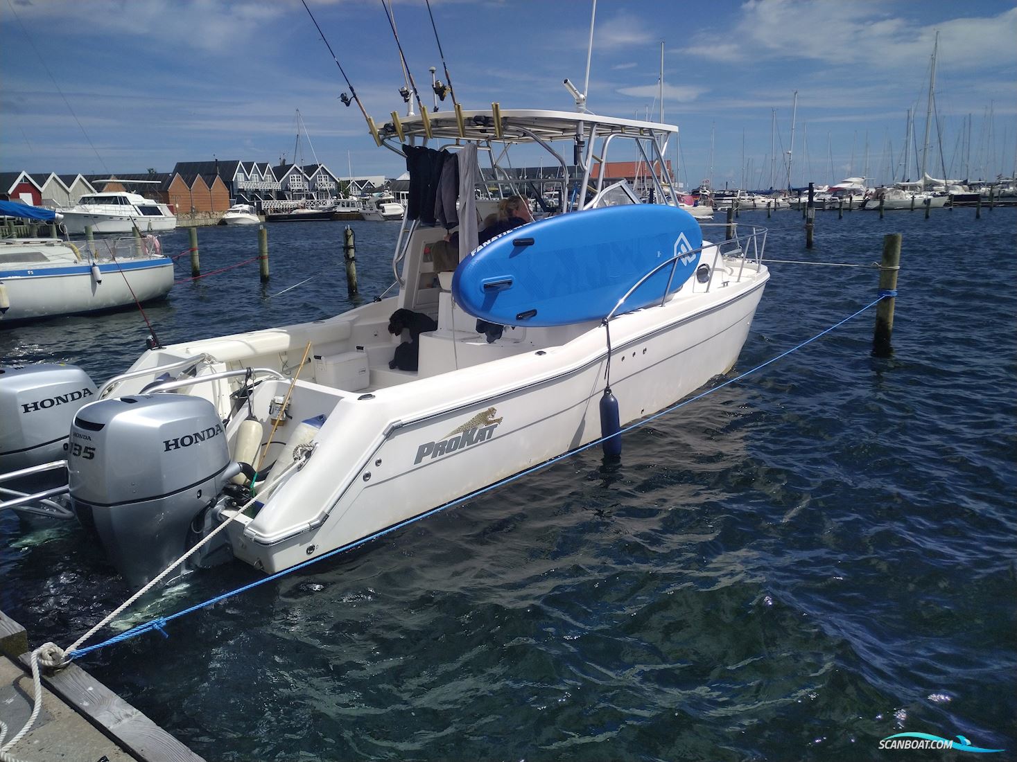 Prosport 2660 Procat