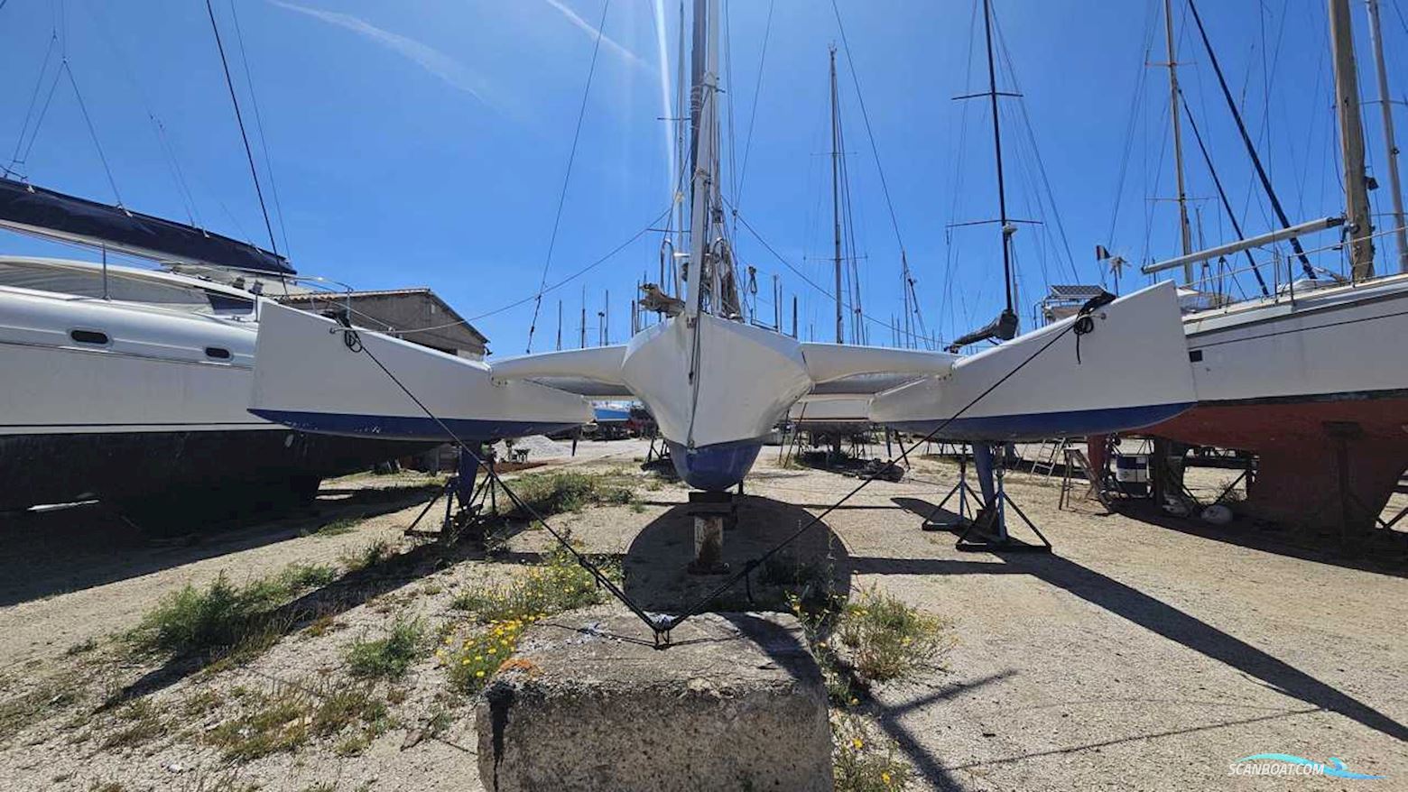 Pulsar 33