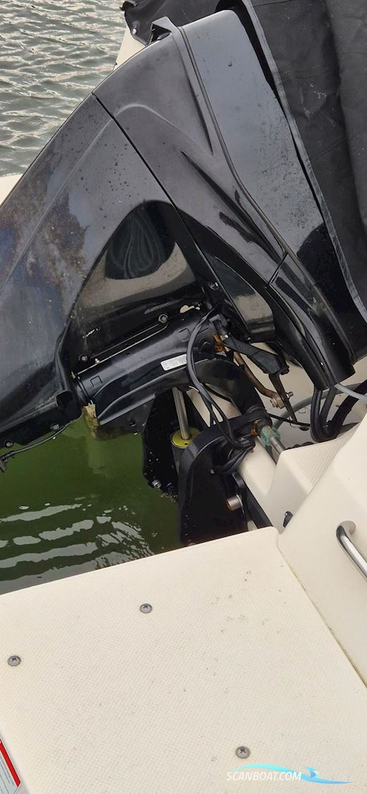 Quicksilver 505 Cabin