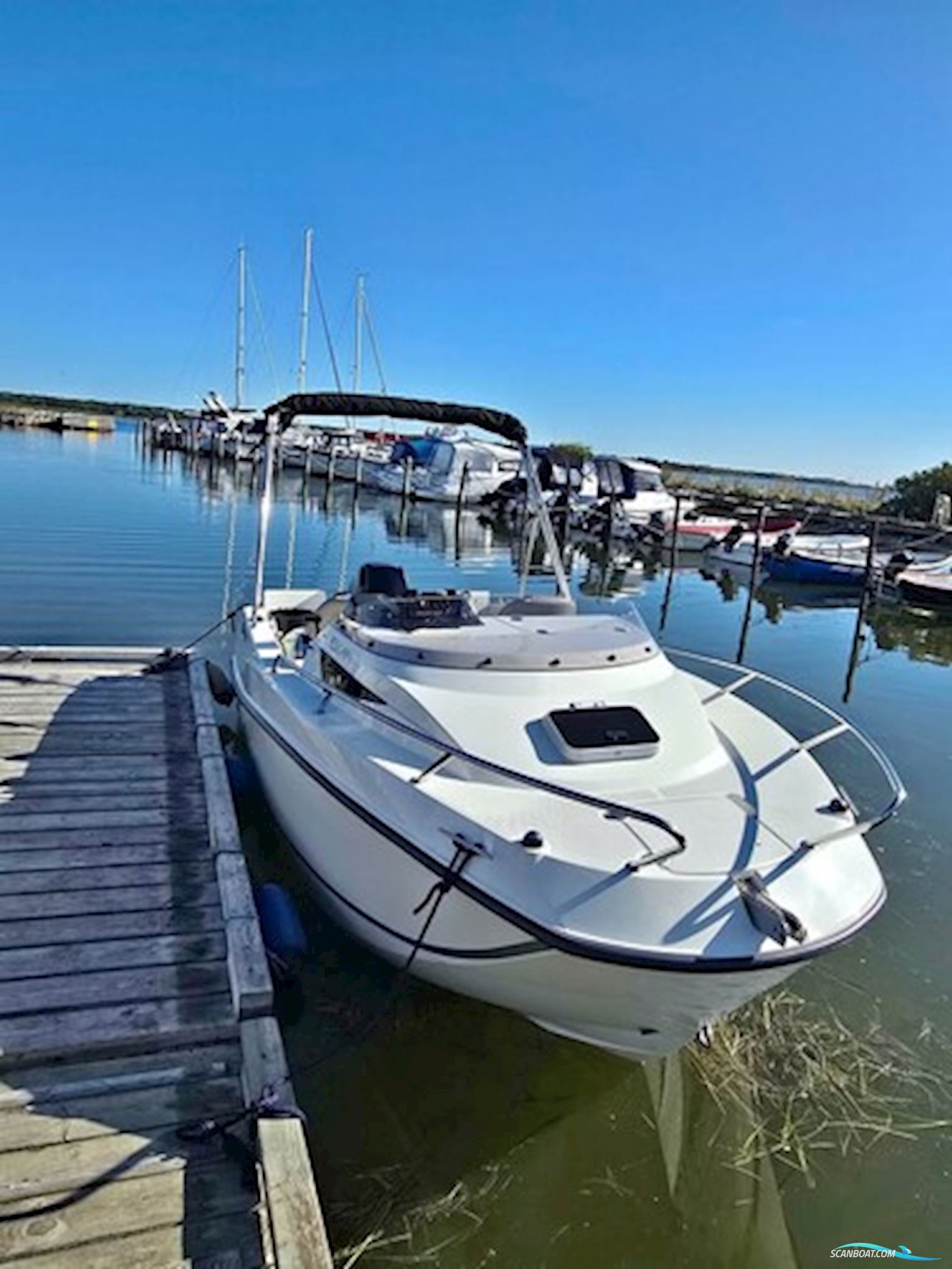 Quicksilver Activ 455 Cabin