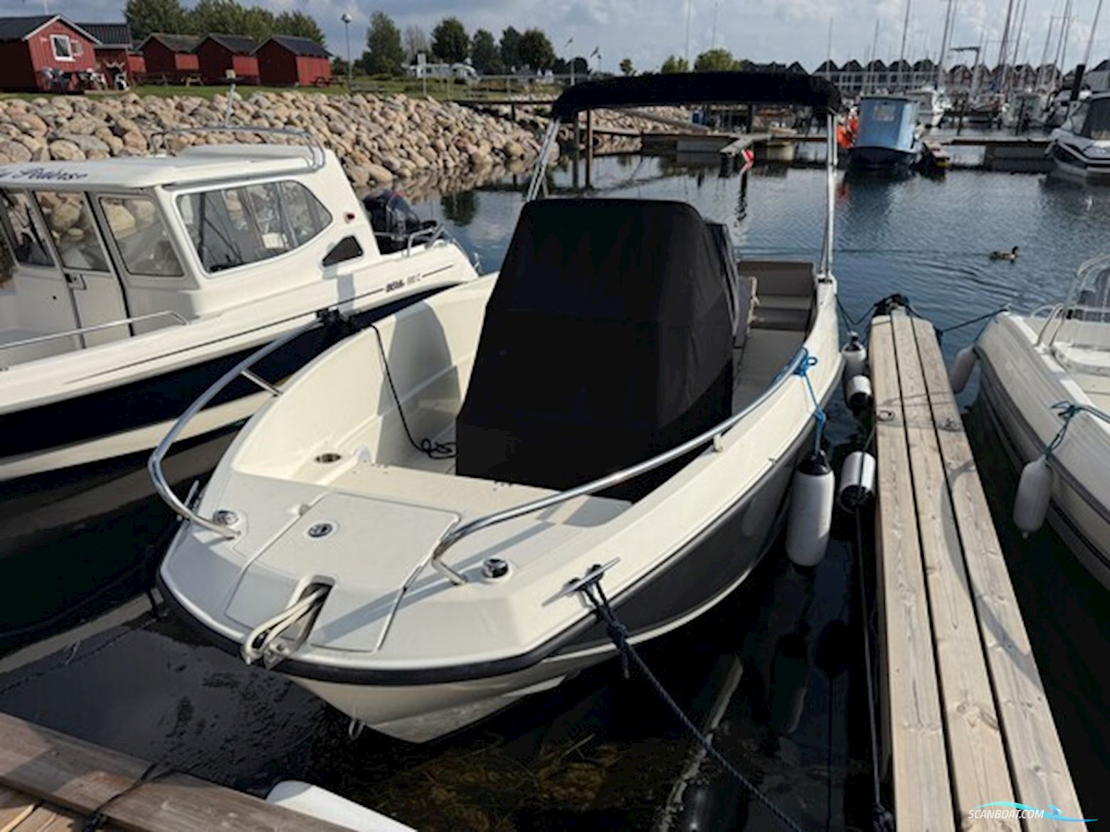 Quicksilver Activ 555 Open med Mercury 115 ProXS (2021)
