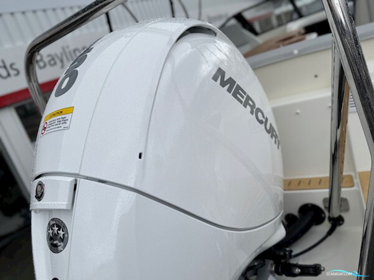 Quicksilver Activ 605 Cruiser med F150 Mercury-EFI 3,0L XL CF  4 takt Exclusive Jubilæumsmodel