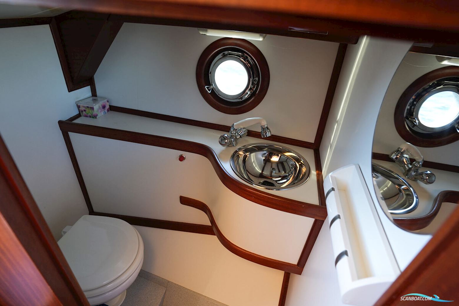 Rapsody 29 OC-F Oyster White Limited Edition