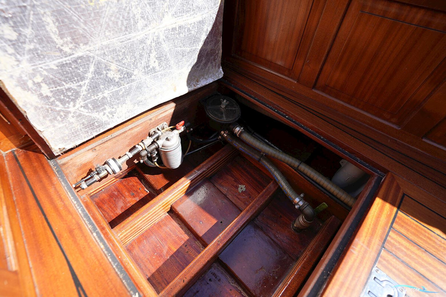 Rapsody 29 OC-F Oyster White Limited Edition