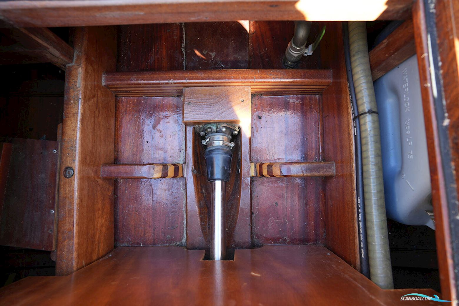 Rapsody 29 OC-F Oyster White Limited Edition