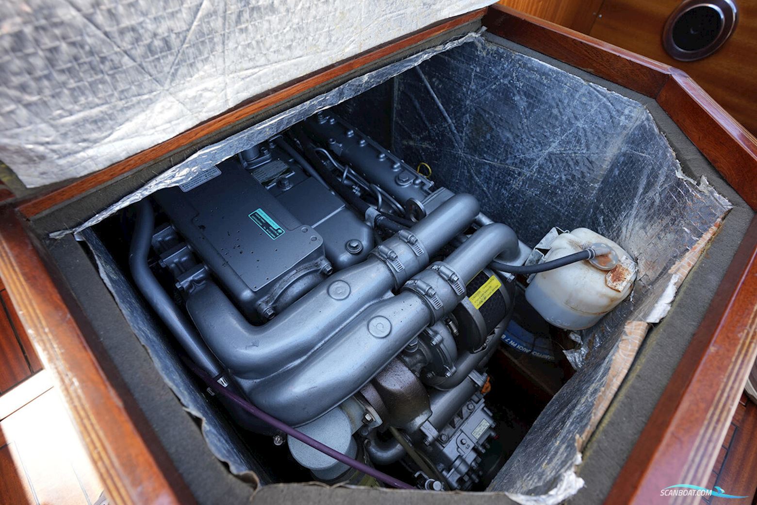 Rapsody 29 OC-F Oyster White Limited Edition