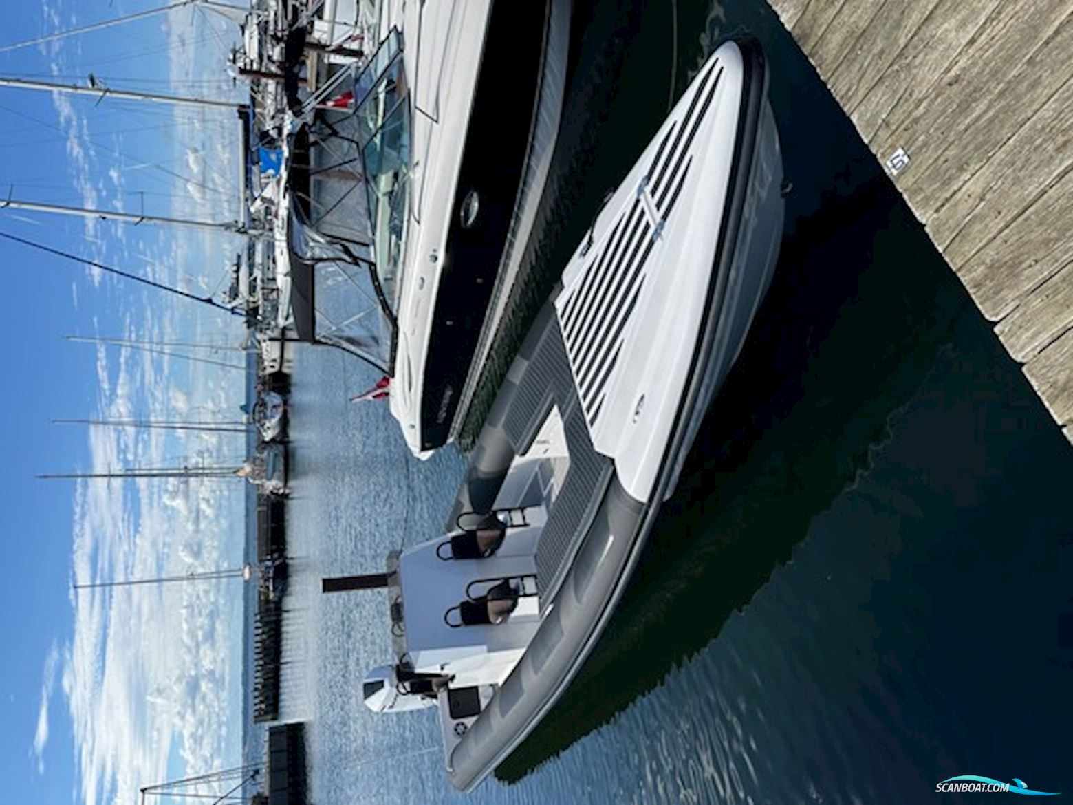 RavenRib 9m Mercury Racing 450R