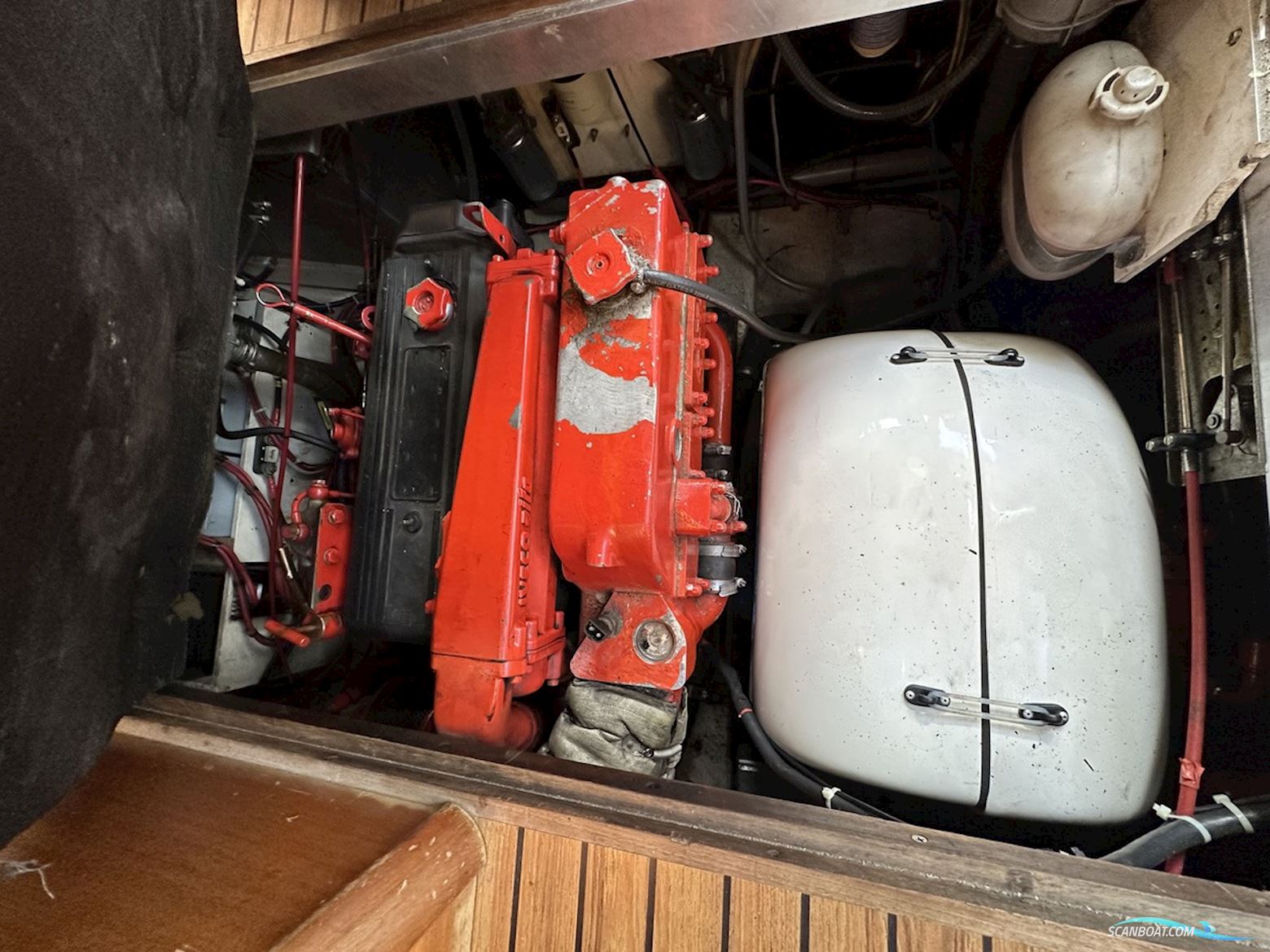 Recla Tarpon 37 GB Fly