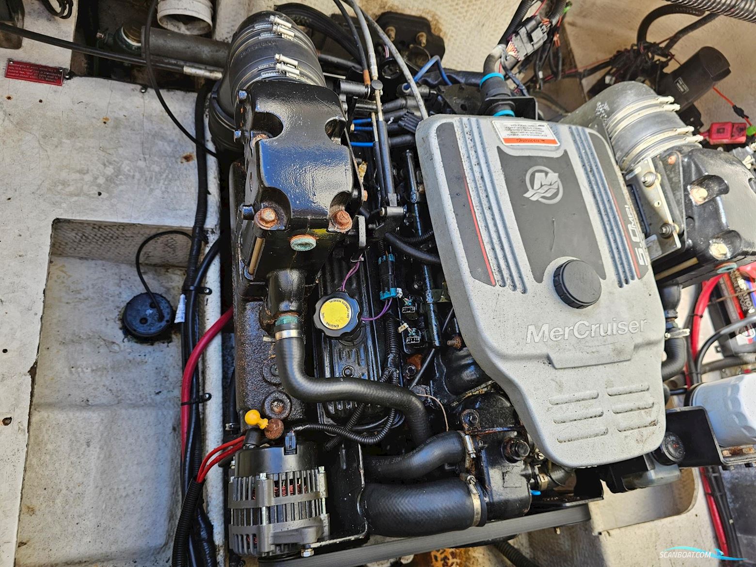 Regal 2565 Window Express