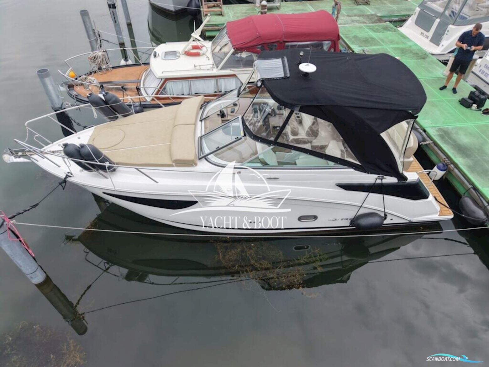 Regal 26 Express