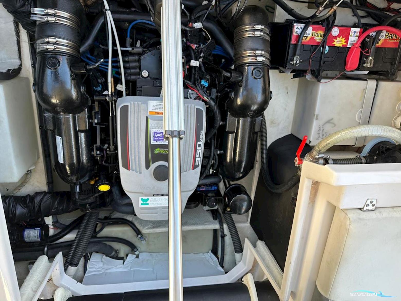 Regal 2750 Cuddy Cabin