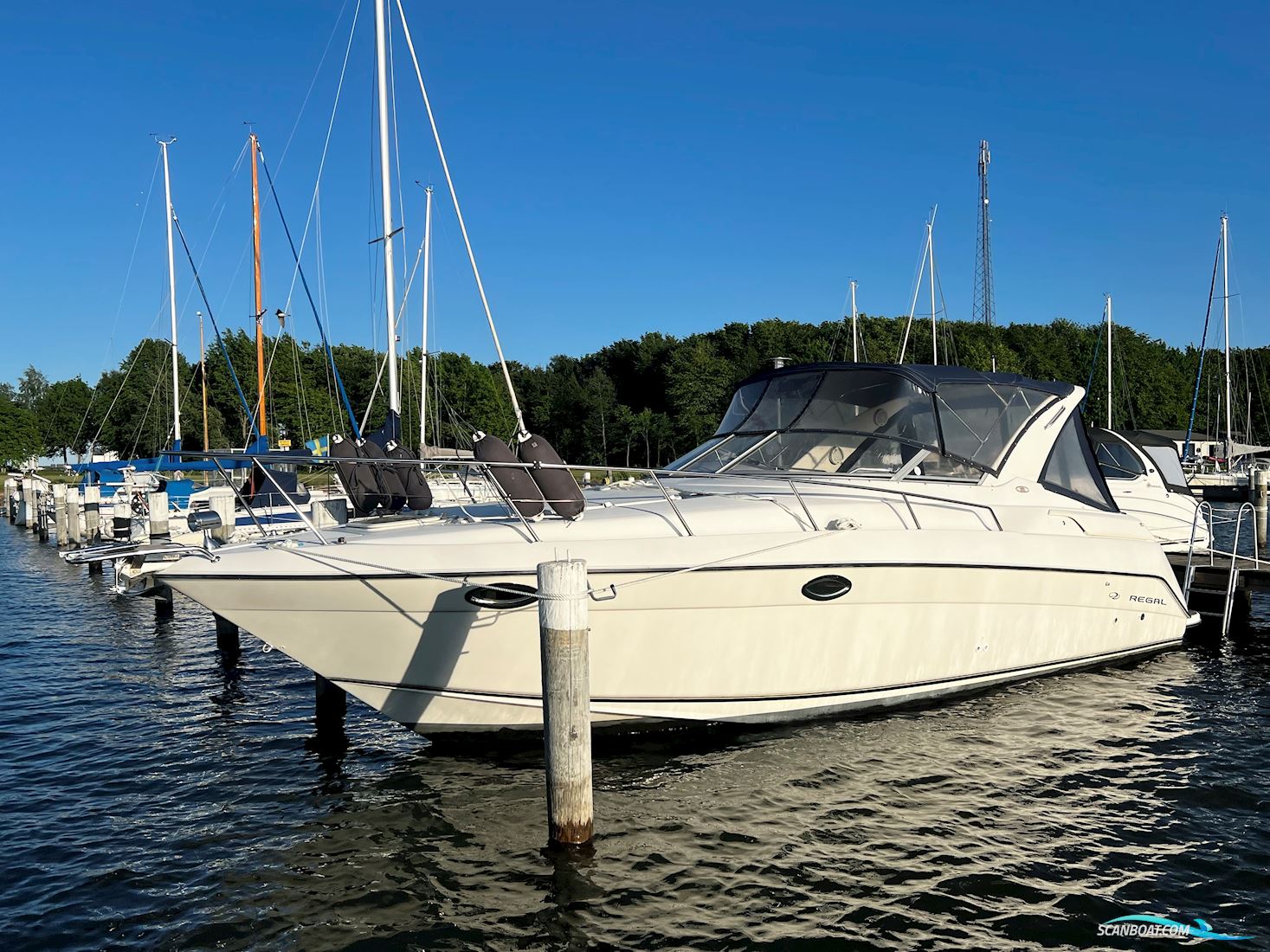 Regal 322 Commodore