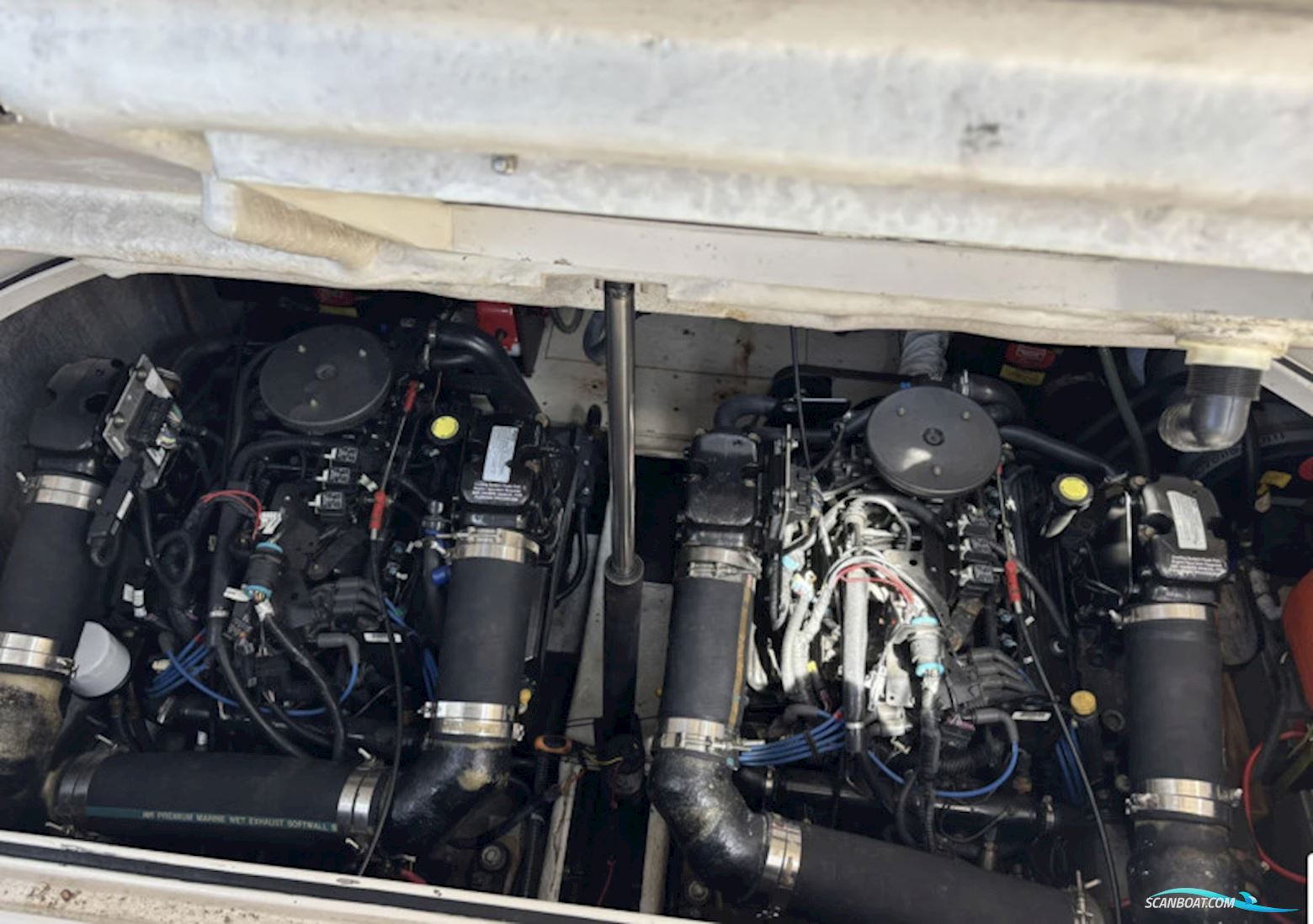 Regal 3260 Commodore