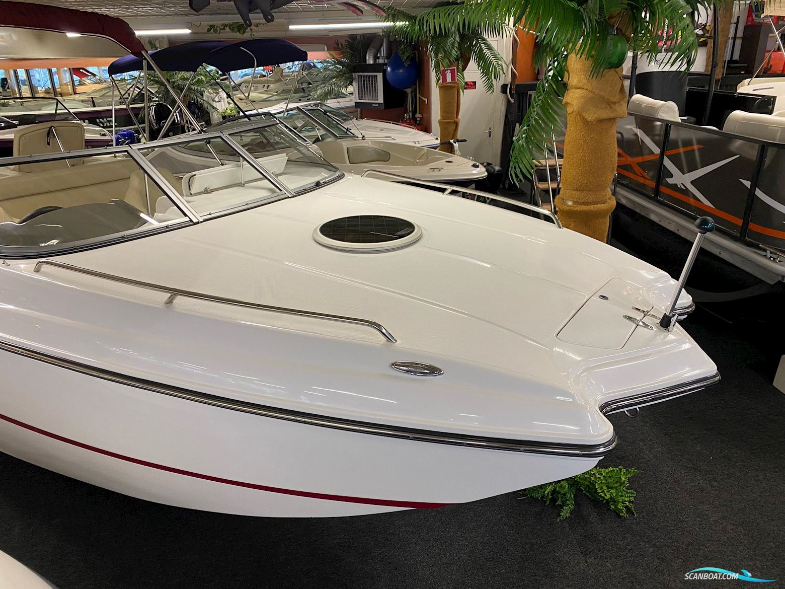 Rinker 220 Captiva Mtx Cuddy