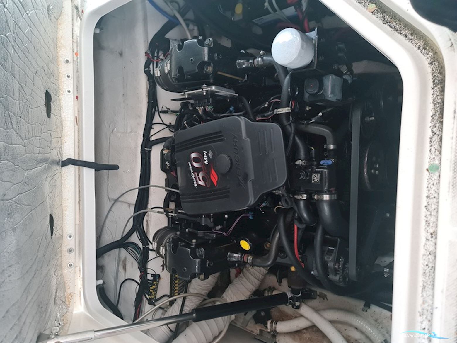 Rinker 260 express cruiser