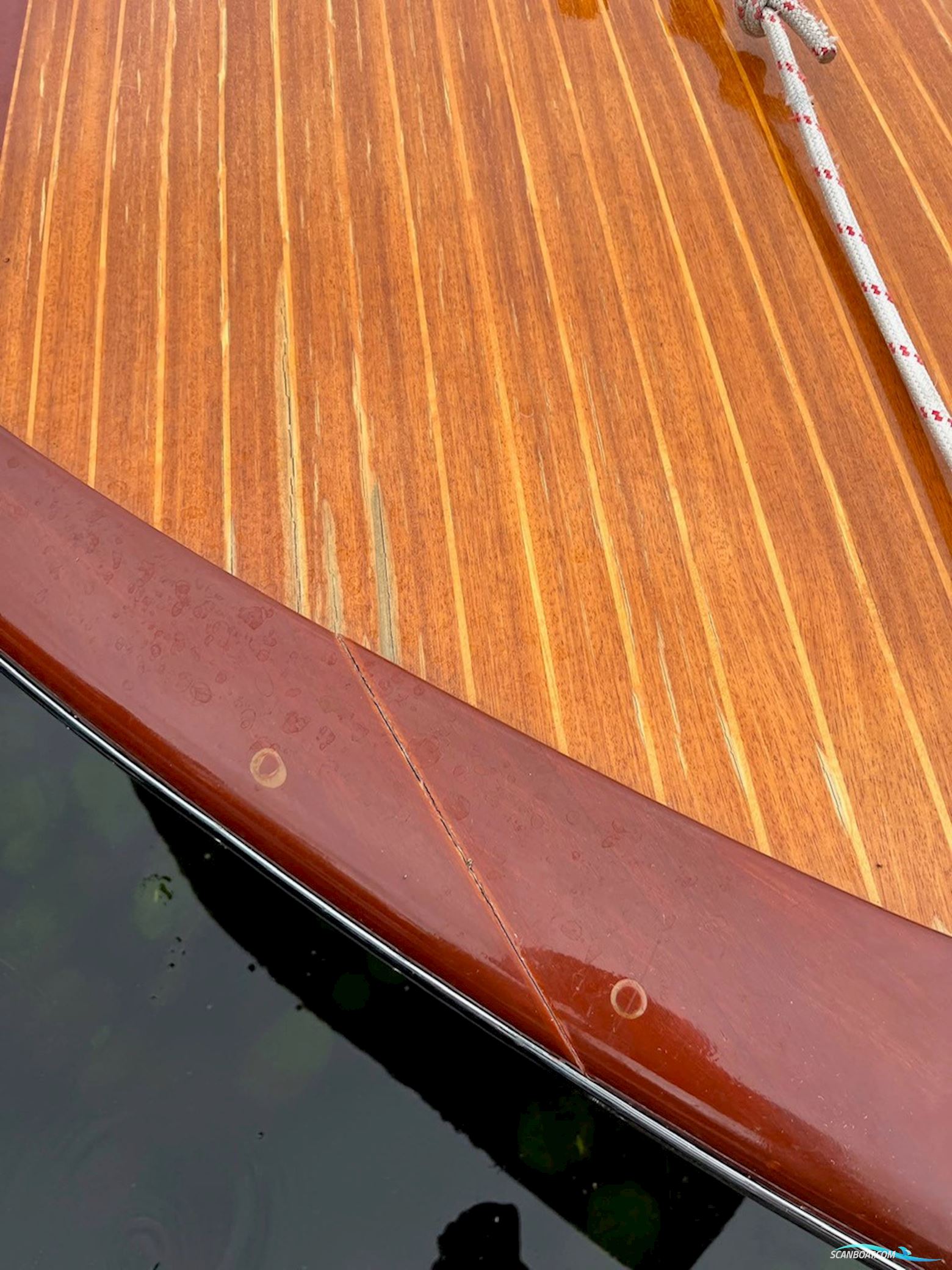 Riva Junior