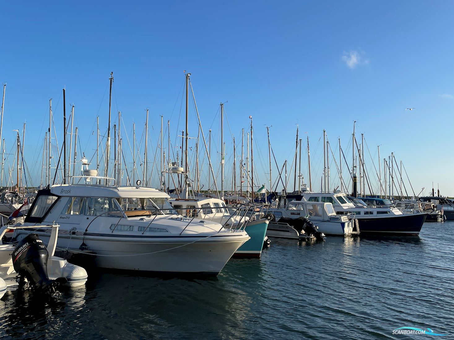 Saga 315