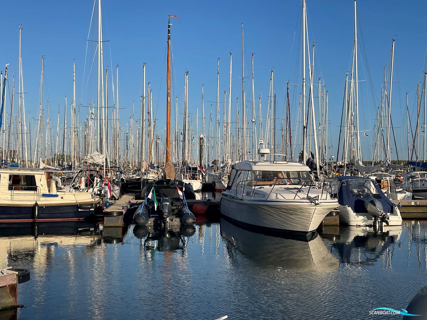 Saga 315